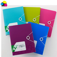 Carpeta Elástica de Cartón Blanco Tamaño A4/Carta con 3 Solapas, Laminada en PP, Ecológica, para Gestión de Documentos, Venta al Por Mayor, Mejor Precio