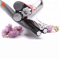 Productos en Oferta: Cable de Aluminio Triplex con Aislamiento de PE o XLPE, Cable ABC 3x6, 3x4, 3x2 AWG, Lista de Precios