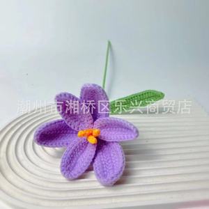Bouquet de fleurs en laine colorées, tissées à la main, cadeau personnalisé, fleurs au crochet faites à la main, cadeau pour elle - Product Image 6