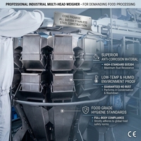 Industriële weeg- en verpakkingsapparatuur voor IQF diepvriesfruit, gemengde groenten, erwten en maïs; automatische verticale verpakkingsmachine (VFFS).