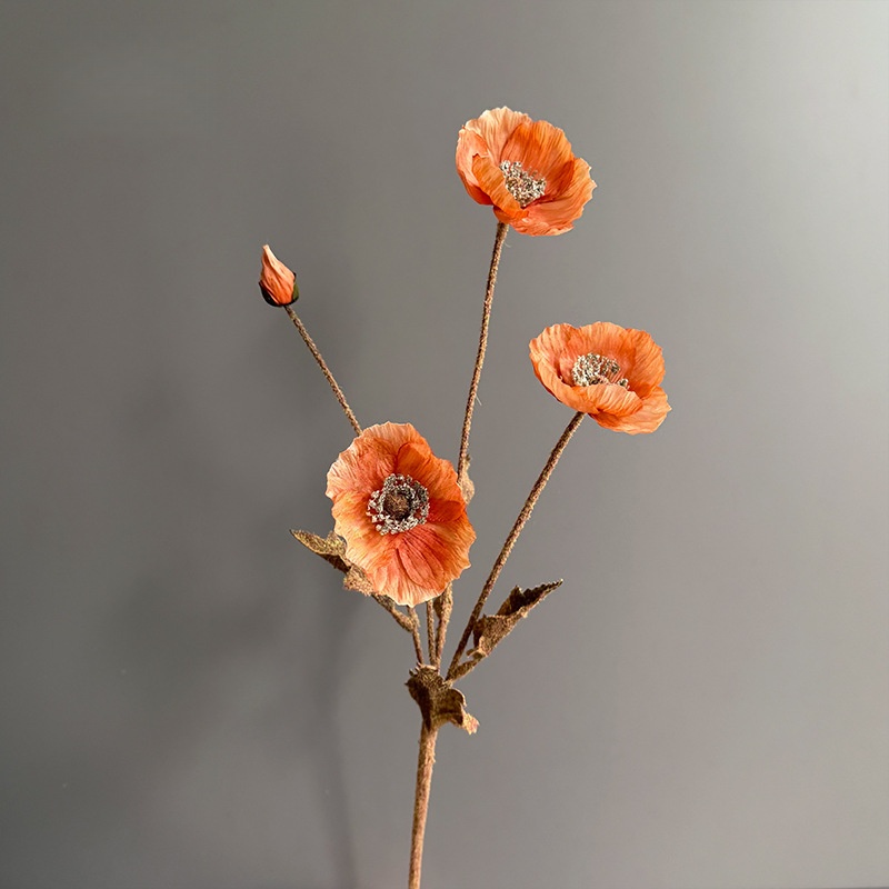 Orange1