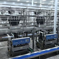 Machine automatique professionnelle de haute précision contrôlée par PLC pour l'industrie alimentaire et chimique, multi-matériaux (pâtes, ketchup, huile)