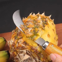Couteau à éplucher les ananas pour la maison, ensemble de quatre pièces, acier inoxydable, livraison en 24h