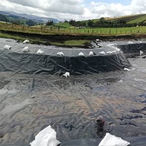 40 mils PE Pond màng mịn màng đất 1mm <span class=keywords><strong>HDPE</strong></span> Pond Liner 1mm tấm màng lót gomembrane - Product Image 6