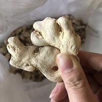 Gingembre entier séché, faible teneur en impuretés, texture sèche et ferme, idéal pour la cuisine domestique, les currys, les marinades, commandes en petits et gros lots