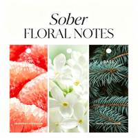 Mini Parfums de Voyage 4*15ml Brume Corporelle Rose Fleur Parfum Longue Durée Coffrets Cadeaux pour Femme