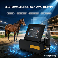 Machine de thérapie par ondes de choc non invasive pour animaux, avec formation gratuite, pour soulager les douleurs musculaires, équipement de thérapie par ondes de choc pour courses hippiques