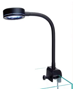 Top Lights for Aquariums Stylish Lighting Solution for Water Creatures