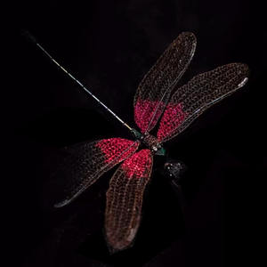 Belle décoration de libellule en métal bon cadeau pour mère et amis - Product Image 2