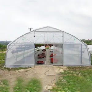 Easily installed fully automatic strawberry white greenhouse tunnel portable