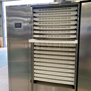 Salle de séchage à l'air pour poissons de mer, morceaux de calmar et crevettes - Product Image 5