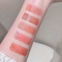 Logo personnalisé Bâton de fard à joues Duo-Side avec yeux en éponge Bâton de joues Crème hydratante mate chatoyante Bâton de fard à joues à haute pigmentation