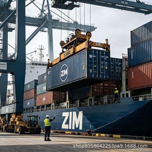 Servicio de envío exprés ZIM Express LCL Plus de China a Estados Unidos puerta a puerta con despacho de aduanas e impuestos para mercancías generales - Product Image 3