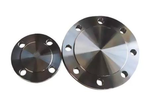 Top-Trending Nickel-Based Superalloy Flanges - Superior Strength for Nuclear Industry Pipelines - Product Image 2