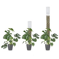 Poteau à mousse auto-arrosant robuste et réutilisable de 17 pouces de hauteur avec finition goutte-à-goutte pour la maison et le jardin