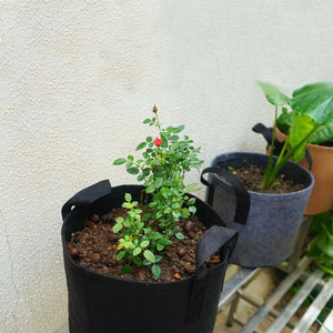 X140 Garden Hotsale Sacs <span class=keywords><strong>de</strong></span> culture réutilisables en feutre pour plantes - Product Image 2