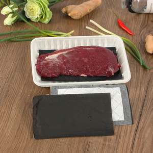 Tampon absorbant jetable pour emballage de volailles, poissons et viandes, qualité alimentaire et écologique, 7 jours, 130x80mm ou sur mesure, 40ml/pièce - Product Image 1