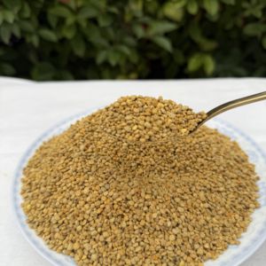 Polen de Abeja al por Mayor, Grado Alimenticio, Suministro a Granel con Empaque Estándar a Precio Competitivo, Polen de Abeja Natural Orgánico - Product Image 4