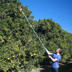 Cueilleur de fruits télescopique pour la cueillette des pommes et des poires, idéal pour la cueillette en hauteur - Product Image 4