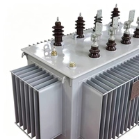 Transformador Sumergido en Aceite de Aleación Amorfa S(B)H15 30kVA-2500kVA 10kV 0.4kV Dyn11 Totalmente Sellado de Baja Pérdida Personalizable