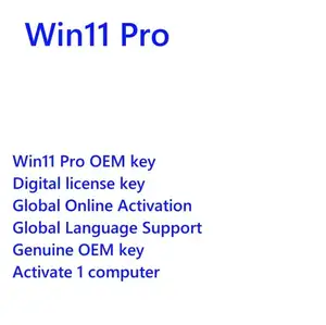 Asli Win 11 Pro OEM kunci 100% Online aktivasi Win 11 profesional Oem Lisensi 1 PC Win 11 Pro kunci Digital kirim Ali chat halaman