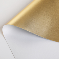 Rouleau de tissu en toile éco-solvant pour peinture à l'huile brillant or argent artiste rouleau de toile à jet d'encre étanche pour imprimante UV au latex