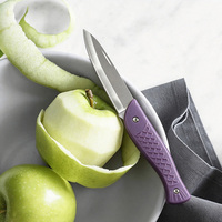 Couteau à fruits pliable multifonction en acier inoxydable 30CR13 pour peler les fruits avec manche en plastique ABS