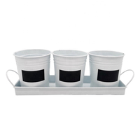 Fournitures de jardinage peintes 3PCS Mini pots de fleurs et jardinière de couleur vive avec plateau en métal Autocollant noir Écrire des mots Seau succulent