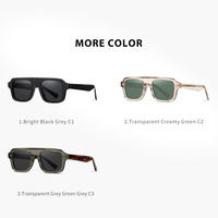 Lunettes de soleil rétro vintage personnalisées Sunray Lunettes de soleil classiques de haute qualité en acétate épais polarisées Design personnalisé pour hommes femmes bleu or rouge