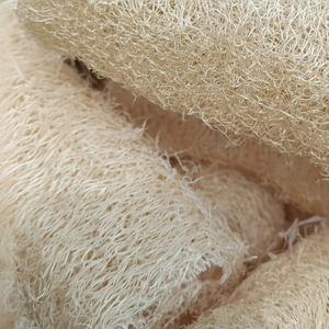 Vente en gros d'éponges de luffa biodégradables naturelles du Vietnam 99 données d'or prix en vrac Solution de soin de la peau - Product Image 1