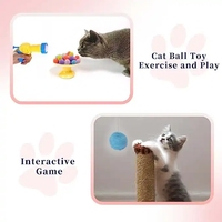 Vente chaude chat jouet pistolet interactif chat en peluche jouet Mini lanceur tir pistolet jeux extensible peluche balle jouets