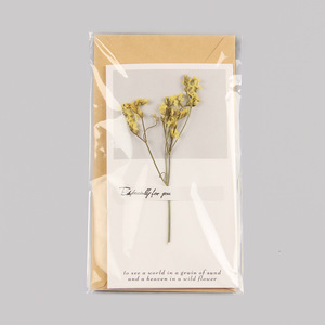<span class=keywords><strong>Carte</strong></span> de voeux de mariage pour la Saint-Valentin avec enveloppe double fleur sèche naturelle Babysbreath - Product Image 6