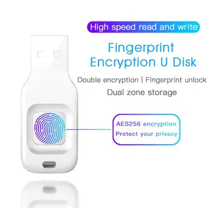 The Newest Design Fingerprints Unlock Pendrive Custom Logo USB Stick 32GB 64GB 128GB USB Flash Drive