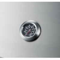 Barbecue au gaz de table en acier inoxydable 304 de 32 pouces pour cuisine extérieure intégrée, propane 66000 BTU 19,3 KW avec verres