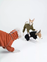 2025NewWinter écologique Polyester personnalisé classique moderne confortable chien Sport pull col haut Double face portable animal de compagnie