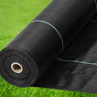 Toile de paillage agricole en plastique tissé PP, tapis anti-mauvaises herbes, filet pare-soleil extérieur