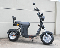 Scooter Eléctrico Citycoco Motocicleta para Adultos 12Ah/20Ah Batería Citycoco México Brasil Perú Chile Argentina Scooter Eléctrico