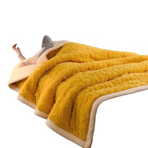 Thick winter coral lamb fleece blanket, bedroom blanket, quilt, nap blanket, <b>sofa</b> blanket, <b>air</b> conditioner fleece blanket, bed - Product Image 3