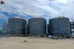 Silo de stockage de céréales en acier galvanisé Bacs de stockage de graines de maïs Bacs de stockage de grandes bacs de stockage de riz - Product Image 4