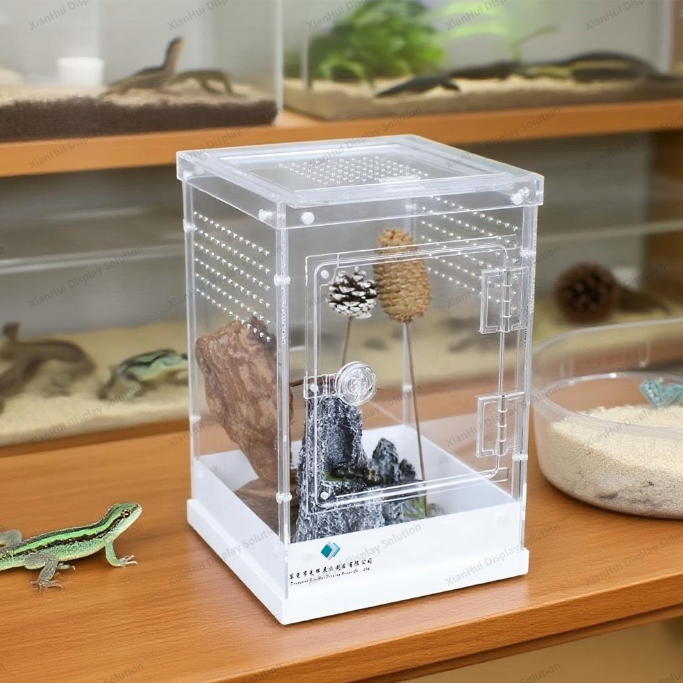 耐久性に優れた爬虫類ショーのディスプレイケースで、ダイナミックな