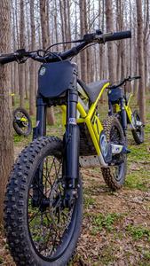 Motocicleta Mini Pit Bike de 20 Pulgadas, 48V, 2500W, 40km/h, Motocross - Product Image 2