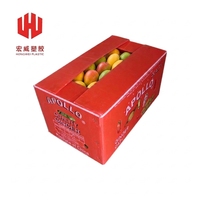 Boîte en carton ondulé Corflute, boîte de rangement en polypropylène pour légumes et fruits, épaisseur 3-5 mm
