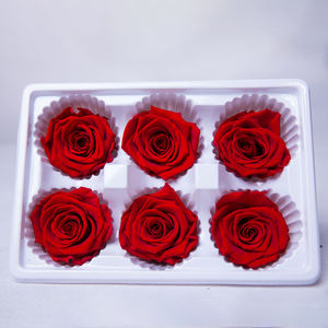 HFlora 5-6 cm 6 Piezas/caja Cabeza de Rosa Natural Preservada Eterna y Duradera para Enamorados Decoración del Día de San Valentín - Product Image 2