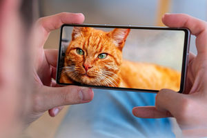 Smartphone Cellulaire Original <span class=keywords><strong>Pixel</strong></span> 7 Lte 5G Téléphone 6,3 Pouces Android 13 pour <span class=keywords><strong>Google</strong></span> <span class=keywords><strong>Pixel</strong></span> 7 Vente en Gros - Product Image 4