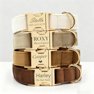 Collier pour chiot en velours polyester <span class=keywords><strong>de</strong></span> luxe, moderne, écologique, solide, avec fermeture à bouton réglable, gravure personnalisée pour petit chien, vente en gros - Product Image 1