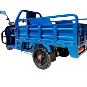 Triciclo de Carga para Transporte en Almacén, Triciclo Logístico de Carga en Venta - Product Image 2