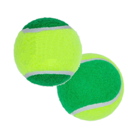 Balle de tennis professionnelle écologique à haute élasticité et durable, diamètre 65 mm, rebond 135-145 cm, poids 50 g, marque OEM, clubs sportifs