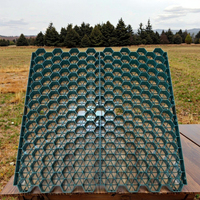Grille de pavés en gazon en plastique HDPE pour l'aménagement paysager Base de hangar plat imbriqué pour le renforcement du sol Allées de stationnement en plastique