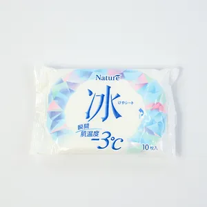 10pcs Adult Body Clean Wet Wipes Mint Essential Oil Ice Cool Wipes Skin Care Sports Cleaning Wipes