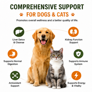 Friandises Tendres Sans Céréales pour Animaux de Compagnie (OEM/ODM) pour le Soutien Immunitaire, Contenant du Chardon-Marie/SAMe, Absorption Rapide et Sûres pour Chats et Chiens - Product Image 2